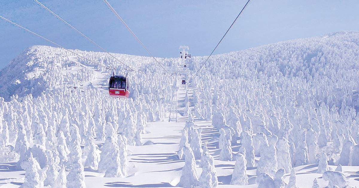 Zao Ropeway & Ginzan Hot Spring Day Trip (Departing from